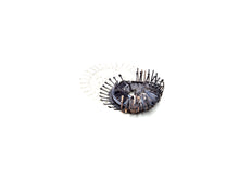 Load image into Gallery viewer, Flos Insectum Brooch 3
